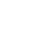 KingBird